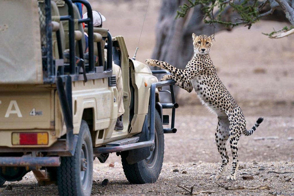 Kruger National Park - Richard de Gouveia